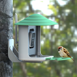 Mangiatoia per uccelli con fotocamera e riconoscimento uccelli AI per il giardino