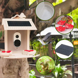 Mangiatoia per uccelli con fotocamera e riconoscimento uccelli AI per il giardino - Con cella solare integrata