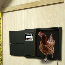 Apripelle di pollo automatico con pelle di pollo - Modello Luxury - In metallo con batteria, celle solari e facile programmazione
